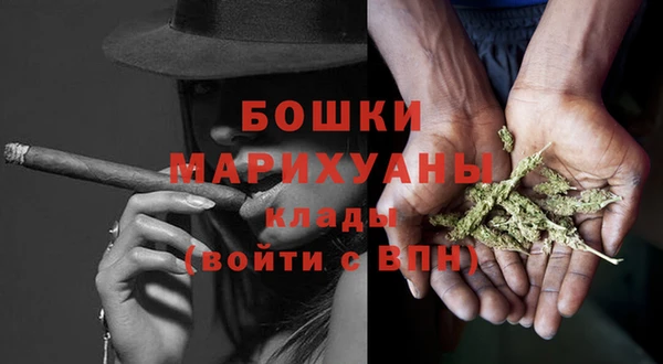PSILOCYBIN Нефтегорск