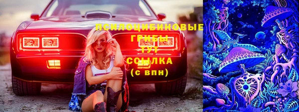 PSILOCYBIN Нефтегорск